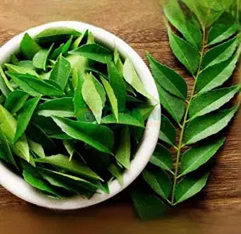Curry Leaves - Chilli & Herbs