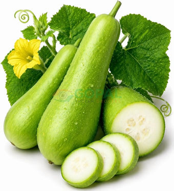 Dudhi - Vegetables