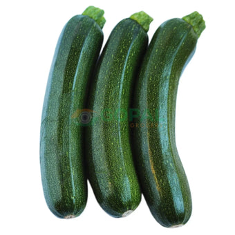 Green Courgette - Vegetables