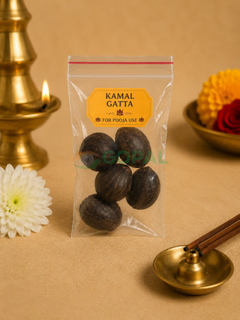 Kamal Gatta / Dried Lotus Seeds (For Pooja Use) - Pooja Essentials