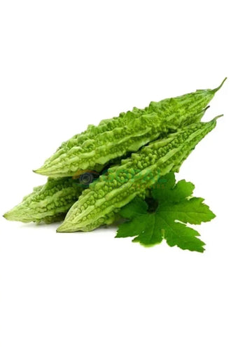 Karela (Bitter Gourd) - Vegetables