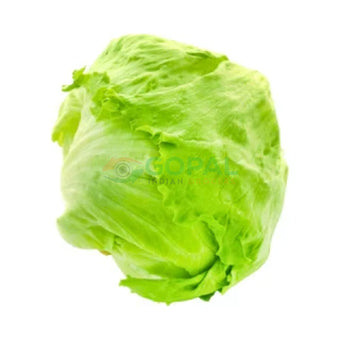 Lettuce (Iceberg) - Vegetables