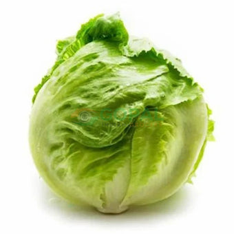 Lettuce (Iceberg) - Vegetables