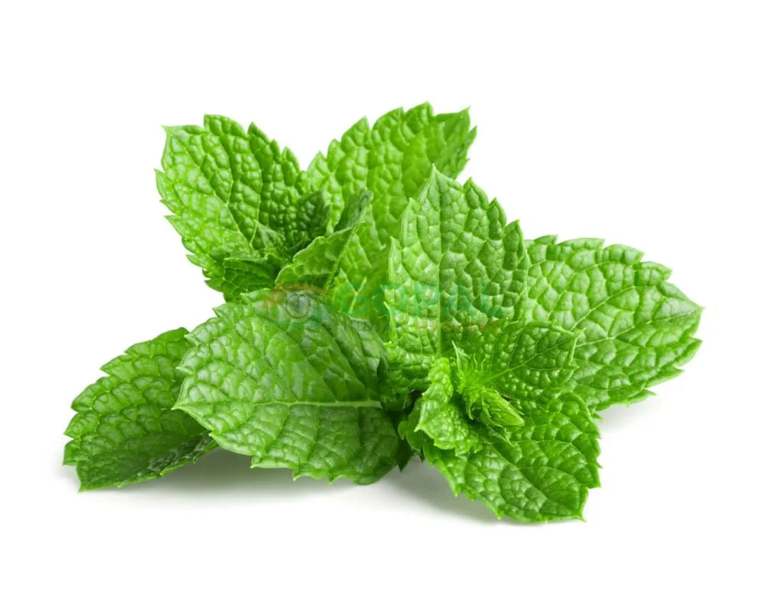 Mint - Chilli & Herbs