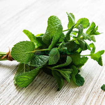 Mint - Chilli & Herbs