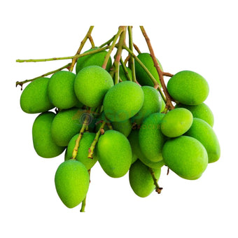 Raw Green Mango (Kachha Aam) - Fruits