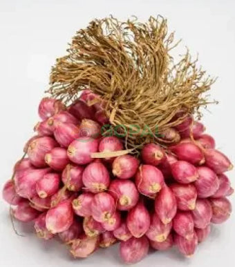 Shallot Onion - Vegetables