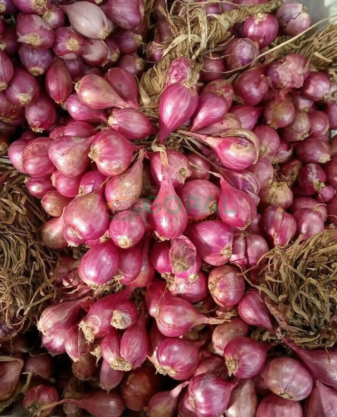 Shallot Onion - Vegetables