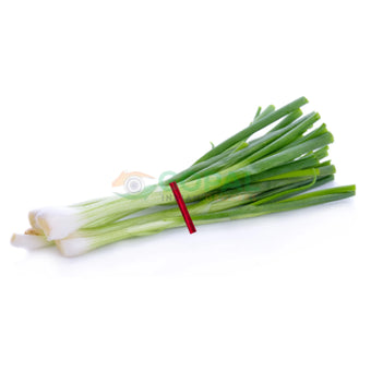Spring Onion