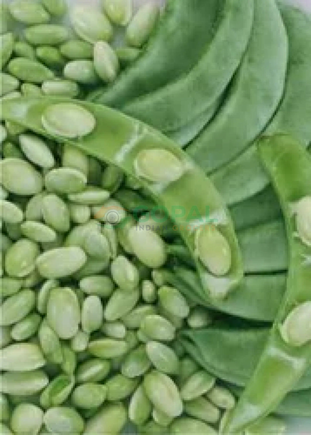 Val Papadi - Vegetables